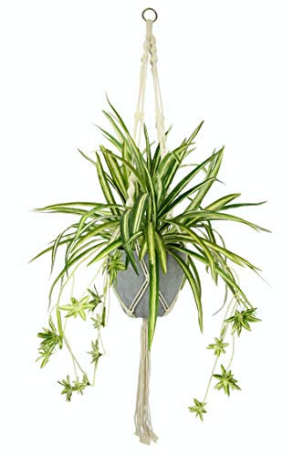 Künstliche Wasserlilie Chlorophytum Comosum Atlantic Grünlilie Grünpflanzen Spinne Pflanze Kunstblume Blume Kunstpflanze Seidenblume Textilblume Deko Balkon Zimmerpflanze