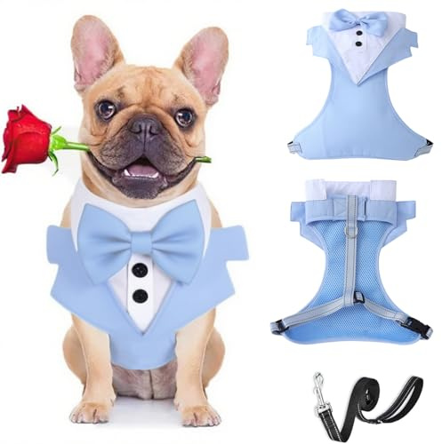 Harnais de smoking avec laisse pour chien – Gilet formel avec nœud – Harnais de mariage réglable pour chiot et chien de petite et moyenne taille _ S (bleu clair)