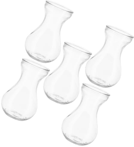 TOYANDONA Lot de 5 Petits Vases en Verre Transparent pour Fleurs Vase Floral Hydroponique de Jacinthe Jardinière Décorative Polyvalente pour Bureau et Intérieur Centre de Table Élégant