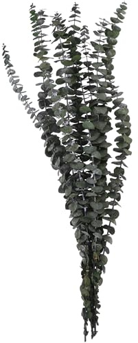 VOSTEEN 1x Rami di eucalipto 70cm Verde - Decorazioni per vasi Aspetto Elegante e conservato - Ramo Decorativo decori Autunnali