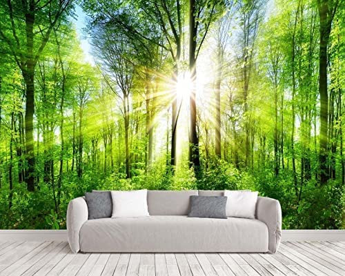 3D Fototapete Wandmalerei Nebel Grüner Wald Naturlandschaft Wasserdichte Wandtapete, Modernes Wohnzimmer, Sofa, Tv-Hintergrund, Wandkunst, Abziehen Und Aufkleben, 350 (Breite) x 256 (Höhe) cm