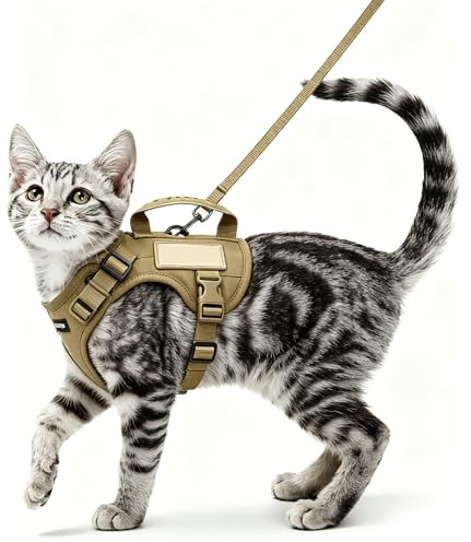Cat Harness and Lead Set Escape Proof UK, Secure Cat Leash and Harness Set, Adjustable Cat Lead and Kitten Harness with Comfortable Design, Durable Outdoor Walking Accessory for Feline Companions
