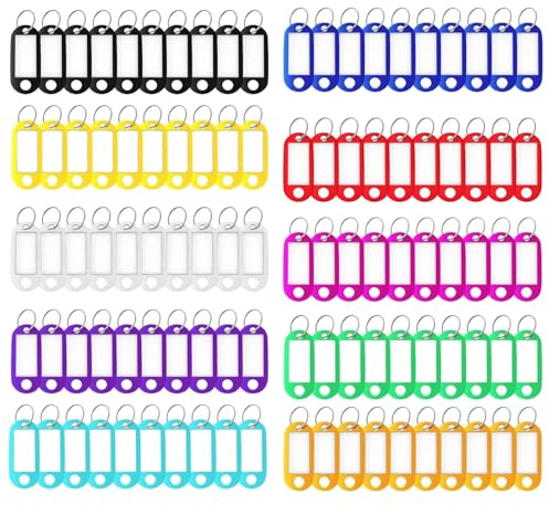 WUBAYI Lot de 100 porte-clés avec fenêtre d'étiquette, 10 couleurs interchangeables, porte-clés en plastique avec boucles