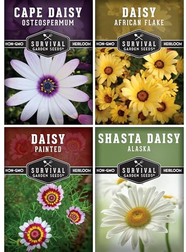 Survival Garden Seeds Daisy Seed Collection for Planting - 4 Packets - African Flake, Cape, Painted & Shasta Daisy - Non-GMO Heirloom Open-Pollinated Flower Seeds with Planting Instructions to Grow