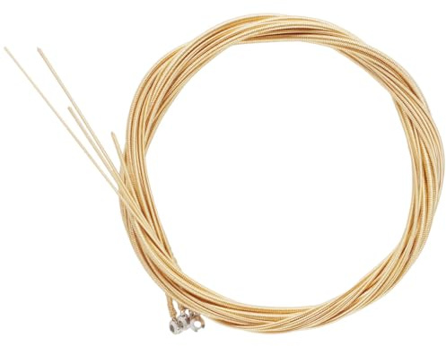 POPETPOP Corda per Basso Acustico Accessori Ricambio Strumento Musicale in Ottone Oro Set da 1 Facile Installazione e Portatile per Musicisti Bassisti