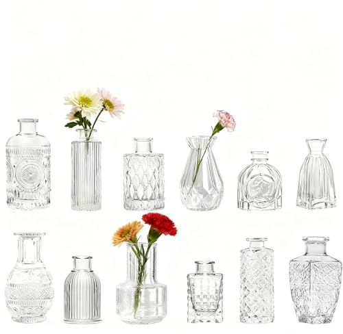 Vasetti in Vetro Piccoli 12 Pezzi – Mini Bottiglie Decorative in Stile Vintage con Spago di Juta, Resistenti e Riutilizzabili, Perfette per Matrimoni, Feste e Decorazioni per la Casa