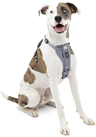 Kurgo Tru-Fit Smart Dog Walking Harness - Comfortable Fit - Adjustable Harness - Reflective Pet Wear - Quick Strap Release - Daily Walk Accessory - Includes Seat Belt Loop - Grey - Medium