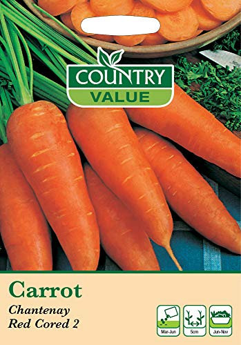 Carrot Seeds Chantenay Red Cored 2 by Country Value Vegetables