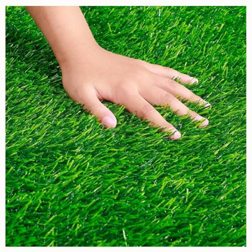 Césped Artificial Césped Astrológico Estera De Césped 5m X 3m, Naturales Realistas Rollo De Hierba Falsa, Altura De Pila De 20 Mm, Densidad Alta Artificial Alfombra De Hierba Con Agujeros D(Size:3x2m)