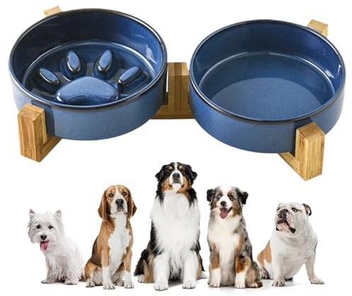 de alimentador Lento para Mascotas - tazón de cerámica Resistente al para Alimentos, Agua de Perro Anti-ofto | Prevención de la hinchazón de Las Comidas para Gatos no Skid para