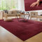 Paco Home Moderner Kuscheliger Wohnzimmer Teppich Kurzflor waschbar flauschig Weich Einfarbig Felloptik zeitlos stilvoll rutschfest pflegeleicht, Grösse:60x100 cm, Farbe:Rot