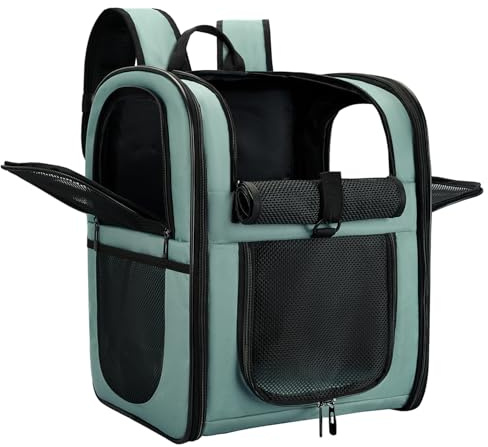 APOLLO WALKER Pet Carrier Backpack for Small Cats and Dogs, Puppies, Two-Sided Entry, Safety Features and Cushion Back Support for Travel, Hiking, Outdoor Use (Blue)