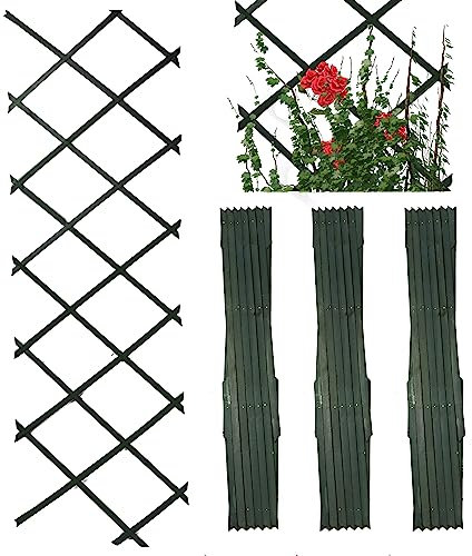 DIVCHI Wooden Trellis Expandable Garden Wall Trellis For Climbing Plants Decoration & Plants Partitioning (Pack Of 3) (180cm x 60cm) (Green)