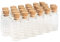 Magic Season Dekorative Glasflasche (24 Stück / 10 ml)