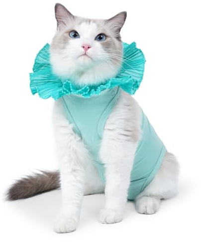 Body de recuperación de gatos para evitar la castración de heridas después de cirugías, traje para heridas quirúrgicas del vientre, uso en interiores