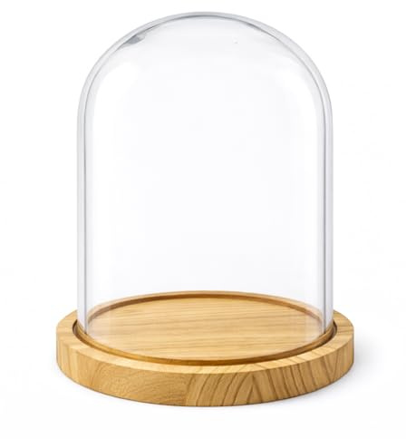 PALUPLUS Campana in Vetro con Base in Legno, Teca in Vetro Trasparente, Espositore per oggetti, composizioni floreali e luci, oggetto decorativo per la tua casa -953M -2,1 (17x25 cm)