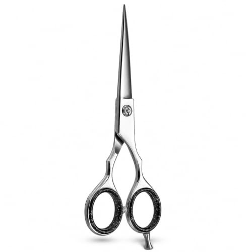 Set Forbici da Parrucchiere Professionali - Acciaio Inossidabile German Premium con Manico Offset Ergonomico e Vite Tensione Regolabile per Taglio di Precisione (1, Argento, 5,5°)