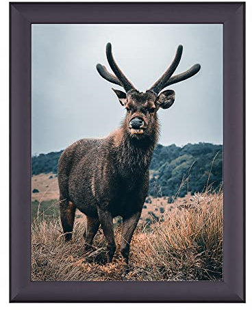 Rahmendesign24 Posterrahmen Fiona 50x50 Anthrazit Fotorahmen, Wechselrahmen, Bilderrahmen