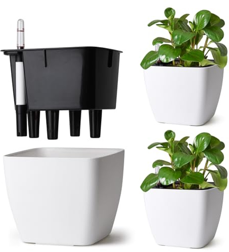 T4u Set de 3 Macetas Autorriego 17,5 cm Cuadradas con Indicador de Agua, Maceta Autorriego para Principiantes y Ocupados, Maceteros Interior, para Pothos y Monstera, Uso Interior y Exterior (Blanco)