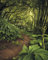 Komar Digitaldruck Vliestapete THE PATH, 200 x 250 cm (Breite x Höhe), Tapete, Fototapete, Landschaft, Naturaufnahme, Schlafzimmer, Wohnzimmer, Flur
