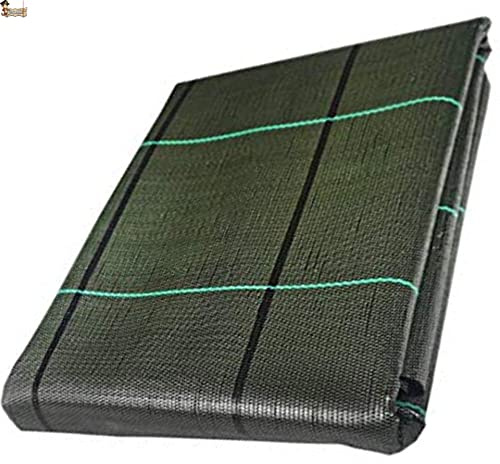 BricoLoco.com Manta Malla antihierba Verde para Agricultura, jardín, huerto,Camping, césped Artificial. 105 grs./m2. Tela en Rafia de Polipropileno 100%. (6, 2)