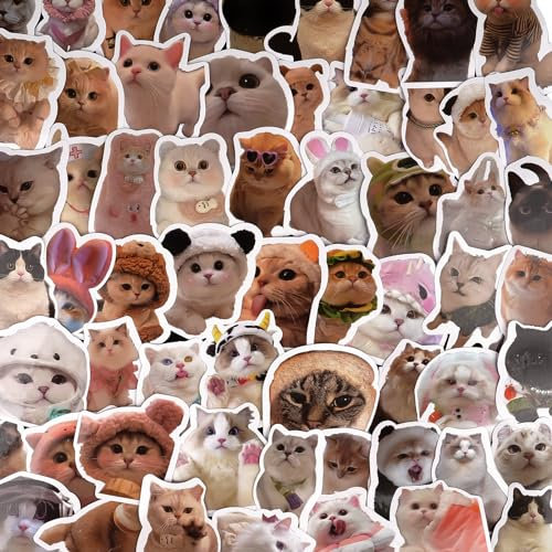 Hopton Sticker Kinder, 60 Stück Aufkleber Kinder, Katzen Sticker, Wasserfeste Sticker Set, Sticker Fotoalbum, Cute Sticker für Laptop, Wasserflasche, Gitarre, Koffer, Notebook