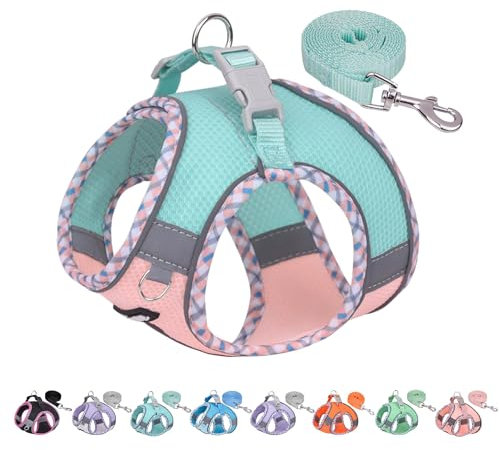 AIITLE Kleines Hundegeschirr, No-Pull Katzengeschirr mit Leine, einstellbares Hundegeschirr, reflektierende Weste für extra kleine Hunde und Hauskatzen Türkis-Rosa XXS