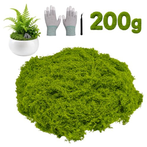 ZKAILCF 200g Musgo Artificial Decorativo Verde Claro para Manualidades