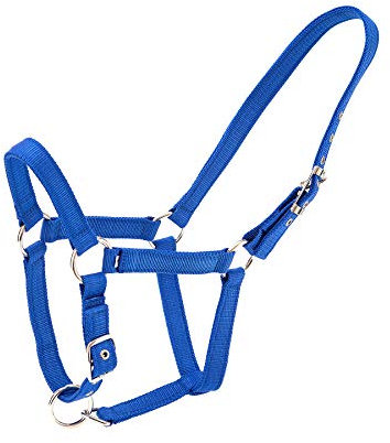 Merauno® Halterset Trendy Nylon Pferd Halfter Silber Verstellbare Schnalle im Nacken und in der Nase Hochwertiges Polyesterband für Pony Vollblut Warmblut (Cob, Blau)