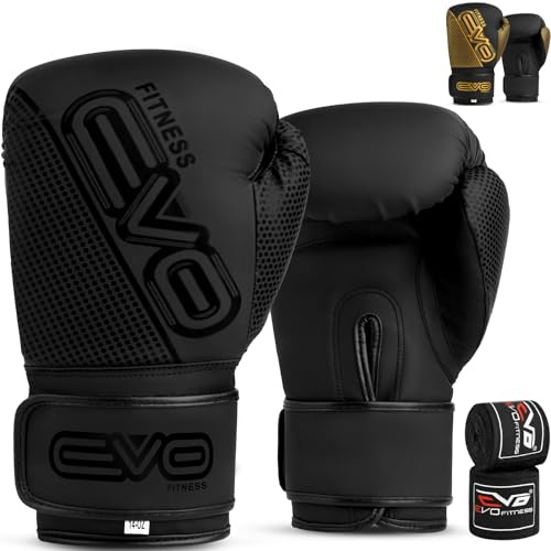 EVO Boxing Gloves (Black EVO Matt, 14 OZ)
