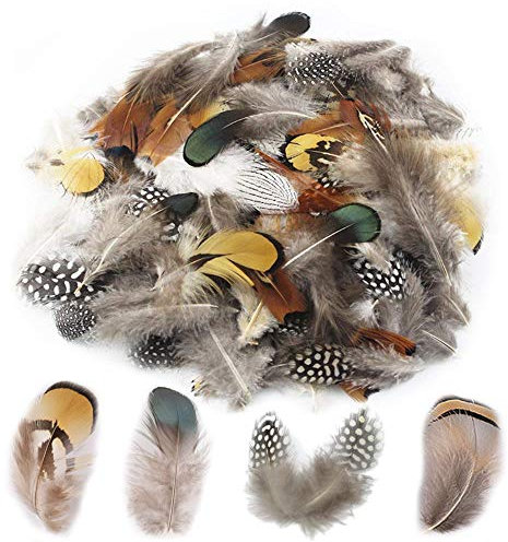 Anyasen Künstliche Federn für Traumfänger - 200 Stück Natürlich Braun, 4 Stile Gemischte Federn 5-8cm, Hahnenfedern zum Basteln