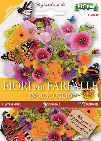 500 Semi di Fiori per Farfalle, Miscuglio di Annuali Colorati e Profumati, Fioritura abbondante, butterfly-attracting seeds