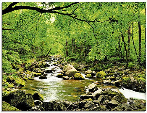 ARTland Wanddeko Glasbilder Wandbild Glas Bild einteilig 80x60 cm Querformat Natur Landschaft Wald Fluss Wasserfall Felsen Steine Bach T1YH