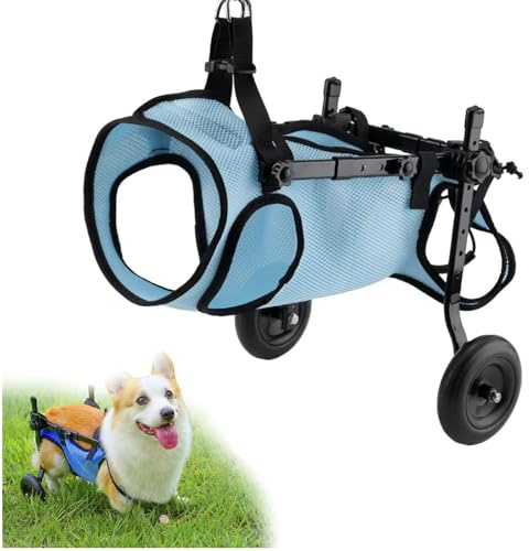 Fauteuil Roulant Pour Chien,Pattes ArrièRe,2 Roues Chien,Attelle D'Exercice Marcheur Handicapé,Aide à La Marche Avant BlesséEs/ParalyséEs,Pour Chariot Animaux Petite,Moyenne Et Grande Taille(XS,Blue)