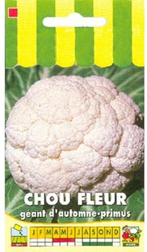 Sachet de graines de Chou fleur géant d'automne-Primus - 1 g - légume feuille - LES GRAINES BOCQUET