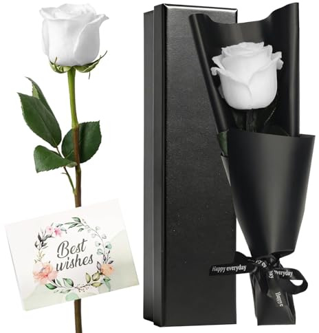 HIVTE Rosa Eterna Natural Blanca con Tallo en Caja de Regalo, Rosa Preservada, Regalo Elegante para Mujer, Mamá, Esposa en Cumpleaños, San Valentín, Día de la Madre, Navidad