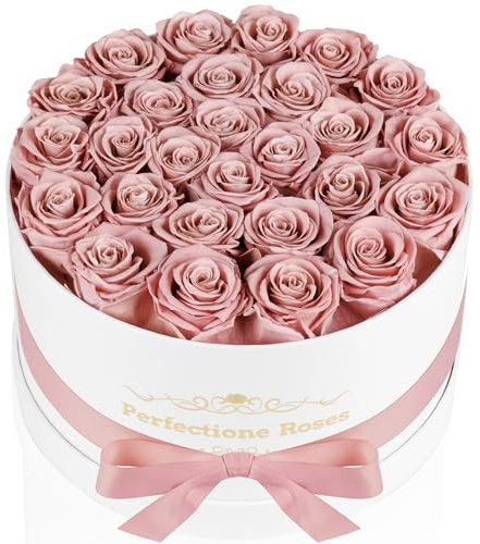 Perfectione Roses 27 Roses in a Box, Mothers Day Rose, Preserved Flowers for Her, Flowers for Delivery Birthday Gifts for Women (Dusty Rose)