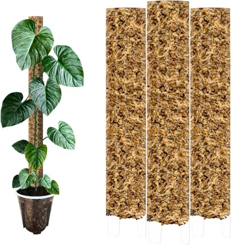 Nils der Växtfreund mosspinne [PlantScraper] 40 cm (L) / 3 stycken/matt | växtpinne | Moss Pole | Spaljé | utbyggbar mossa | mossa stavar | plantstolpe inomhus | mossstav för monstera