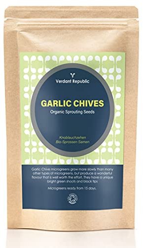 Verdant Republic Organic Garlic Chive Sprouting Microgreens Seeds | 50g | Non GMO, High in Nutrients Superfood | Easy to Sprout | High Germination into Sprouts microgreens from 3 Weeks