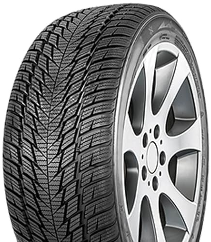 FORTUNA - 235/60 R16 TL 100H WINTER SUV2 M+S 3PMSF - Winterreifen
