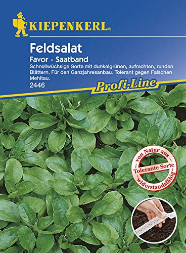 Kiepenkerl 2446 Feldsalat Favor (Saatband) (Feldsalatsamen)