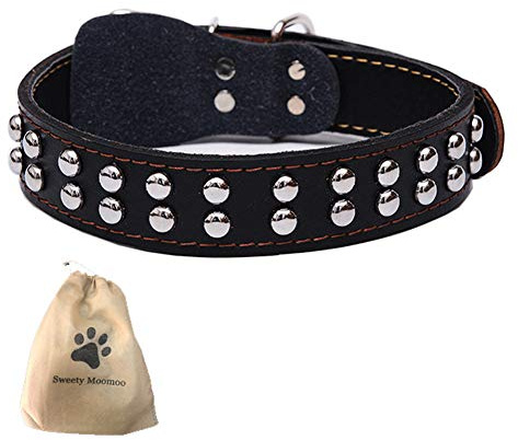 Collare per cani in vera pelle Ideale per cani di taglia media e taglia grande (XL, Nero)