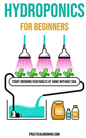 Hydroponics for Beginners: Start Growing Vegetables at Home Without Soil