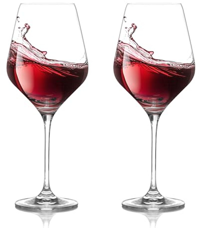 CIYIN Weingläser Plastik, 2 Stück Rotweingläser 420 ml, Tritan-Kunststoff Weinglaeser, Bruchsicher Camping Weingläser, für Hochzeit, Geburtstage, Party, Camp