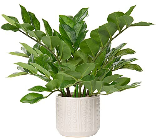 Künstliche Pflanzen Klein, mini Kunstpflanzen im Topf 39cm hoch, Kunstpflanzen Wie Echt, Zimmerpflanzen Künstlich mit Töpfen für Tischdeko Büro Schreibtisch Badezimmer Schlafzimmer Wohnzimmer Deko