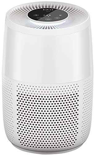 Instant Air Purifier AP100,Helps to remove 99.9 Percent of Viruses, Bacteria and Allergens, Advanced 3-in-1 HEPA Filtration System-Pollen Filtration,Air Cleaner,Dust Extraction,Home and Business use