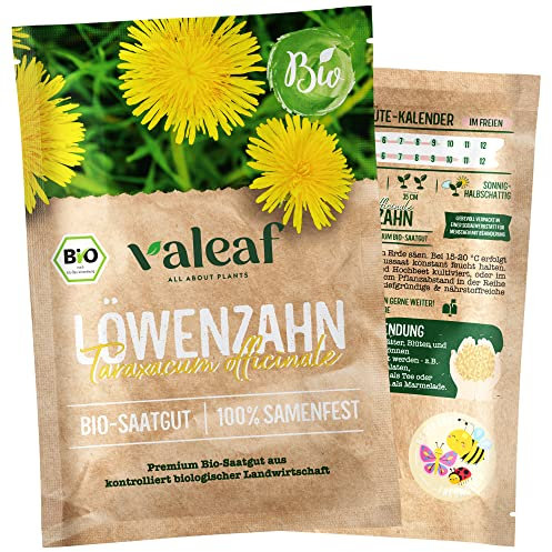 valeaf BIO Löwenzahn Samen I Premium Kräutersamen für Gewürze und Heilkräuter I Gewürzkräutersamen für Gewürzkräuter I samenfestes Kräuter Saatgut I Pflanzen Samen zum Kräuter Pflanzen