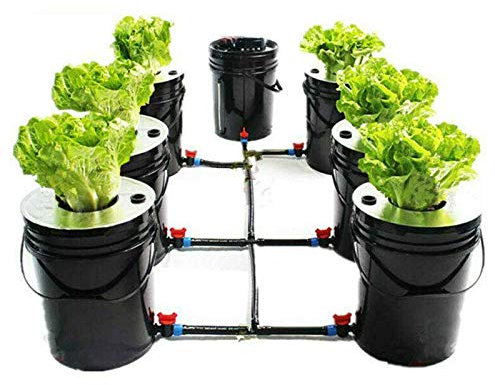 Fetcoi Hydroponic System Indoor Hydroponisches Anzuchtsystem Erdlose Anbau Hydroponic Grow System Kit 7 Bucket Versatile Hydroponics 5 Gal (20L) Deep Water Culture