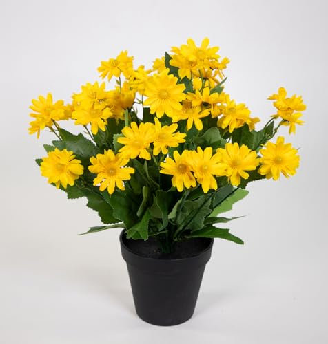 Seidenblumen Roß Margeritenbusch 32cm im Topf JA Kunstpflanzen Kunstblumen künstliche Margerite Blumen Pflanzen (Gelb)