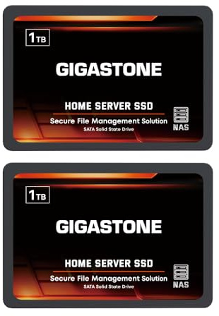 Gigastone Home NAS SSD 1TB (2er-Pack) 24/7 Dauerhaft TLC Hohe Dauerhaltbarkeit Persönlicher Server Cloud Datenspeicher RAID 3D NAND 2,5 Zoll SATA III Interne Solid State Festplatten